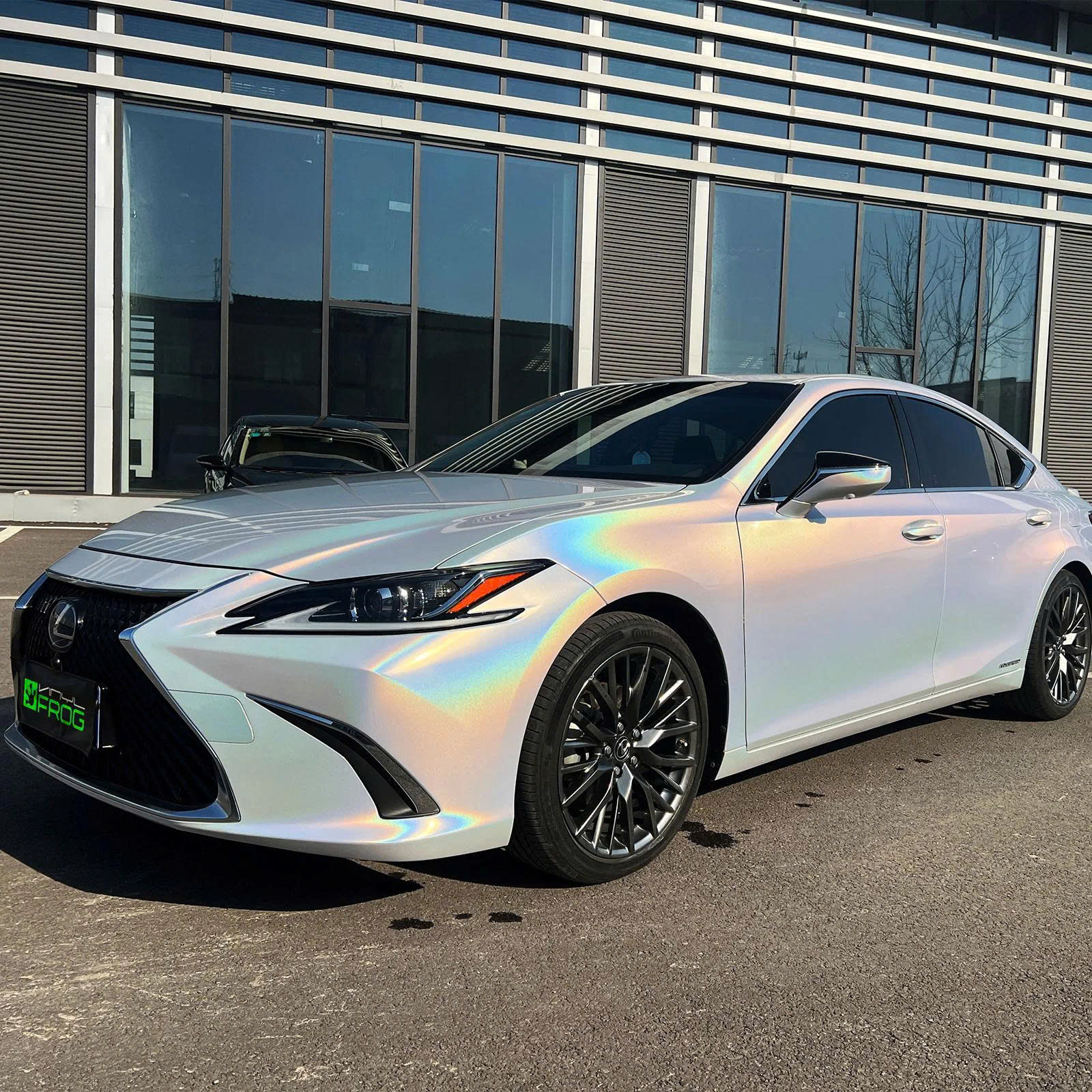 Rainbow Metallic Majestic White Color PPF - Ảnh 6